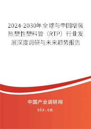 2024-2030年全球與中國增強熱塑性塑料管（RTP）行業(yè)發(fā)展深度調研與未來趨勢報告