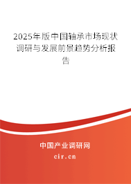 2025年版中國(guó)軸承市場(chǎng)現(xiàn)狀調(diào)研與發(fā)展前景趨勢(shì)分析報(bào)告