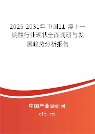 2025-2031年中國11-溴十一烷酸行業(yè)現(xiàn)狀全面調(diào)研與發(fā)展趨勢分析報告