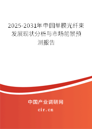 2025-2031年中國單模光纖束發(fā)展現(xiàn)狀分析與市場前景預(yù)測報告