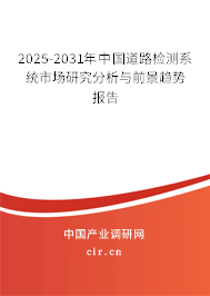 2025-2031年中國道路檢測系統(tǒng)市場研究分析與前景趨勢報告