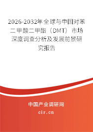 2026-2032年全球與中國對苯二甲酸二甲酯（DMT）市場深度調查分析及發(fā)展前景研究報告