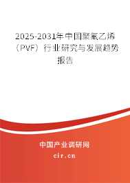 2025-2031年中國聚氟乙烯（PVF）行業(yè)研究與發(fā)展趨勢報(bào)告