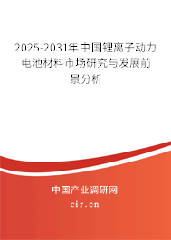 2026-2032年中國鋰離子動力電池材料市場研究與發(fā)展前景分析 2026-2032年中國鋰離子動力電池材料市場研究與發(fā)展前景分析
