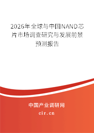 2026年全球與中國(guó)NAND芯片市場(chǎng)調(diào)查研究與發(fā)展前景預(yù)測(cè)報(bào)告