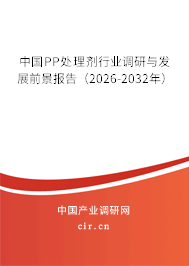 中國PP處理劑行業(yè)調(diào)研與發(fā)展前景報告（2026-2032年）