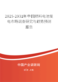 2025-2031年中國燃料電池發(fā)電市場調(diào)查研究與趨勢預(yù)測報告