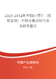 2025-2031年中國(guó)小蘇打（碳酸氫鈉）市場(chǎng)全面調(diào)研與發(fā)展趨勢(shì)報(bào)告
