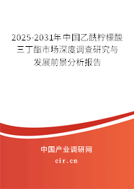 2024-2030年中國乙酰檸檬酸三丁酯市場深度調(diào)查研究與發(fā)展前景分析報告 2024-2030年中國乙酰檸檬酸三丁酯市場深度調(diào)查研究與發(fā)展前景分析報告