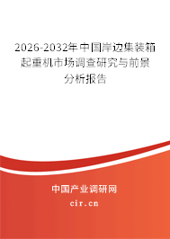 2024-2030年中國岸邊集裝箱起重機市場調查研究與前景分析報告