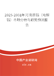 2025-2031年河南原鋁(電解鋁)市場分析與趨勢預測報告 2025-2031年河南原鋁(電解鋁)市場分析與趨勢預測報告