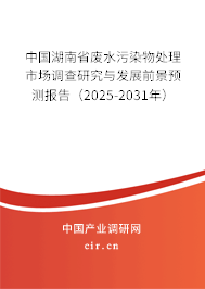 中國湖南省廢水污染物處理市場調查研究與發(fā)展前景預測報告(2025-2031年) 中國湖南省廢水污染物處理市場調查研究與發(fā)展前景預測報告(2025-2031年)