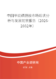 中國甲烷磺酰胺市場現(xiàn)狀分析與發(fā)展前景報告（2026-2032年）