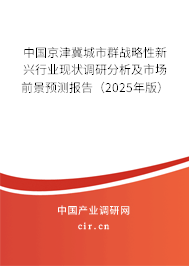 中國京津冀城市群戰(zhàn)略性新興行業(yè)現狀調研分析及市場前景預測報告（2025年版）