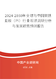 2024-2030年全球與中國聚酰亞胺（PI）行業(yè)現(xiàn)狀調(diào)研分析與發(fā)展趨勢預(yù)測報(bào)告
