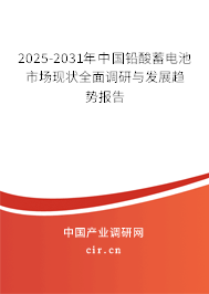 2025-2031年中國鉛酸蓄電池市場現(xiàn)狀全面調(diào)研與發(fā)展趨勢報(bào)告 2025-2031年中國鉛酸蓄電池市場現(xiàn)狀全面調(diào)研與發(fā)展趨勢報(bào)告