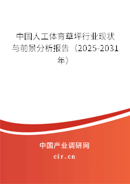 中國人工體育草坪行業(yè)現(xiàn)狀與前景分析報告（2025-2031年）