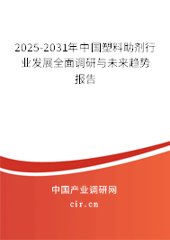 2025-2031年中國塑料助劑行業(yè)發(fā)展全面調(diào)研與未來趨勢報告 2025-2031年中國塑料助劑行業(yè)發(fā)展全面調(diào)研與未來趨勢報告