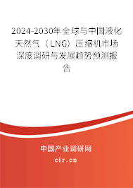 2024-2030年全球與中國液化天然氣（LNG）壓縮機(jī)市場深度調(diào)研與發(fā)展趨勢預(yù)測報(bào)告