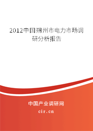 2012中國(guó)朔州市電力市場(chǎng)調(diào)研分析報(bào)告 2012中國(guó)朔州市電力市場(chǎng)調(diào)研分析報(bào)告