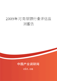 2009年河南鋼鐵行業(yè)評估監(jiān)測報告