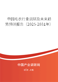 中國毛衣行業(yè)調(diào)研及未來趨勢預(yù)測報告(2024-2030年) 中國毛衣行業(yè)調(diào)研及未來趨勢預(yù)測報告(2024-2030年)