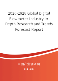 2020-2026 Global Digital Flowmeter Industry In-Depth Research and Trends Forecast Report 2020-2026 Global Digital Flowmeter Industry In-Depth Research and Trends Forecast Report