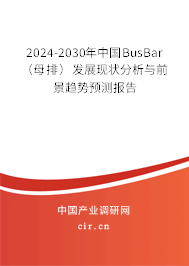 2024-2030年中國BusBar（母排）發(fā)展現(xiàn)狀分析與前景趨勢預(yù)測報(bào)告