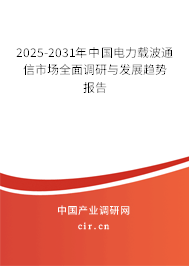2025-2031年中國(guó)電力載波通信市場(chǎng)全面調(diào)研與發(fā)展趨勢(shì)報(bào)告