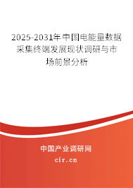 2025-2031年中國(guó)電能量數(shù)據(jù)采集終端發(fā)展現(xiàn)狀調(diào)研與市場(chǎng)前景分析
