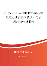 2025-2031年中國固體廢棄物處理行業(yè)發(fā)展現(xiàn)狀調(diào)研與發(fā)展趨勢分析報告