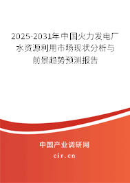2025-2031年中國(guó)火力發(fā)電廠水資源利用市場(chǎng)現(xiàn)狀分析與前景趨勢(shì)預(yù)測(cè)報(bào)告