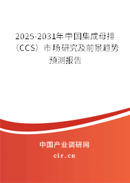 2025-2031年中國(guó)集成母排（CCS）市場(chǎng)研究及前景趨勢(shì)預(yù)測(cè)報(bào)告