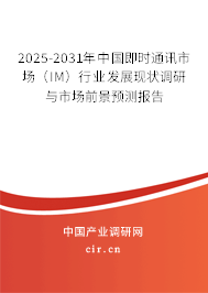 2025-2031年中國即時(shí)通訊市場（IM）行業(yè)發(fā)展現(xiàn)狀調(diào)研與市場前景預(yù)測報(bào)告