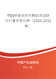 中國甲基化劑市場現(xiàn)狀調(diào)研與行業(yè)前景分析（2025-2031年）