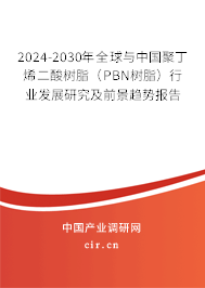 2024-2030年全球與中國聚丁烯二酸樹脂（PBN樹脂）行業(yè)發(fā)展研究及前景趨勢報告