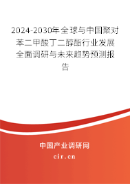 2024-2030年全球與中國聚對苯二甲酸丁二醇酯行業(yè)發(fā)展全面調(diào)研與未來趨勢預(yù)測報告