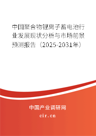 中國聚合物鋰離子蓄電池行業(yè)發(fā)展現(xiàn)狀分析與市場前景預(yù)測報告（2025-2031年）