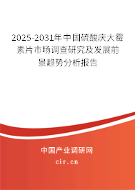 2025-2031年中國硫酸慶大霉素片市場調查研究及發(fā)展前景趨勢分析報告