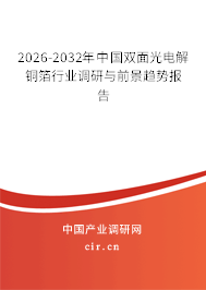 2025-2031年中國雙面光電解銅箔行業(yè)調(diào)研與前景趨勢報告