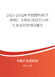 2025-2031年中國(guó)塑料粒子(顆粒)市場(chǎng)現(xiàn)狀研究分析與發(fā)展前景預(yù)測(cè)報(bào)告 2025-2031年中國(guó)塑料粒子(顆粒)市場(chǎng)現(xiàn)狀研究分析與發(fā)展前景預(yù)測(cè)報(bào)告