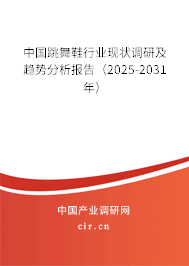 2025-2031年全球與中國跳舞鞋行業(yè)發(fā)展調(diào)研及趨勢預測報告 2025-2031年全球與中國跳舞鞋行業(yè)發(fā)展調(diào)研及趨勢預測報告