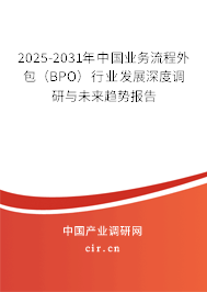 2025-2031年中國業(yè)務(wù)流程外包（BPO）行業(yè)發(fā)展深度調(diào)研與未來趨勢報告