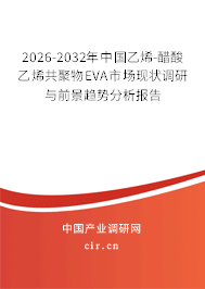 2026-2032年中國乙烯-醋酸乙烯共聚物EVA市場現(xiàn)狀調(diào)研與前景趨勢分析報(bào)告