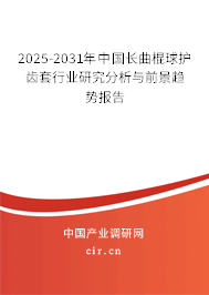 2025-2031年中國(guó)長(zhǎng)曲棍球護(hù)齒套行業(yè)研究分析與前景趨勢(shì)報(bào)告
