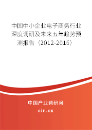 中國中小企業(yè)電子商務(wù)行業(yè)深度調(diào)研及未來五年趨勢預(yù)測報告（2012-2016）