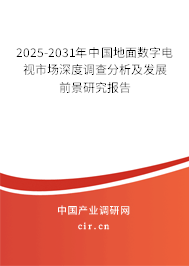 2025-2031年中國地面數(shù)字電視市場深度調(diào)查分析及發(fā)展前景研究報(bào)告