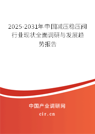 2025-2031年中國減壓穩(wěn)壓閥行業(yè)現(xiàn)狀全面調(diào)研與發(fā)展趨勢報告