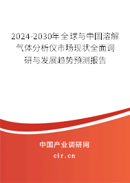 2024-2030年全球與中國溶解氣體分析儀市場現(xiàn)狀全面調(diào)研與發(fā)展趨勢預(yù)測報告
