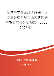全球與中國(guó)無線傳感器網(wǎng)絡(luò)能量采集系統(tǒng)市場(chǎng)現(xiàn)狀調(diào)研與發(fā)展前景分析報(bào)告（2022-2028年）